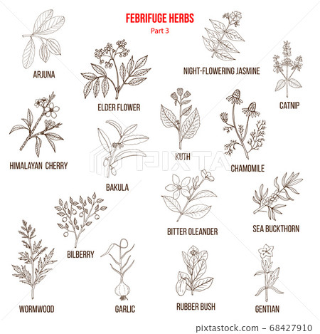 Febrifuge herbs collection. Part 3 68427910