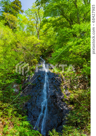 新鮮的綠色和瀑布流清水生態圖像 68427985