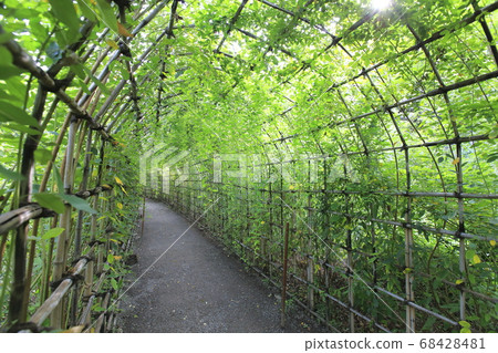 Autumn herbs Autumn herbs 68428481
