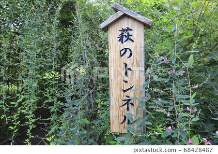 Autumn herbs Autumn herbs 68428487