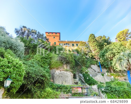 Stairs leading up among the green plants in Stairs leading up among the green plants in 68429899