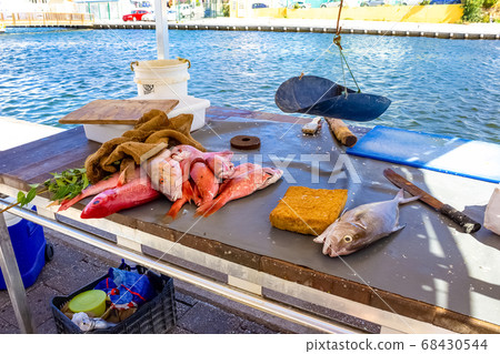Curacao Island Fish Market Curacao Island Fish Market 68430544