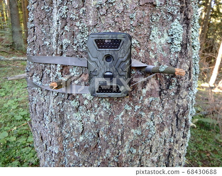 Photo traps in forests, Camera trap with infrared 68430688