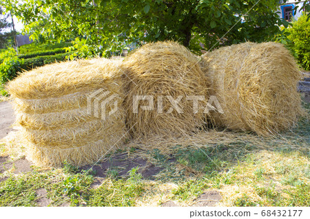 Close-up of yellow golden sheaves or rolls of hay 68432177
