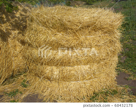 Close-up of yellow golden sheave or roll of hay Close-up of yellow golden sheave or roll of hay 68432178
