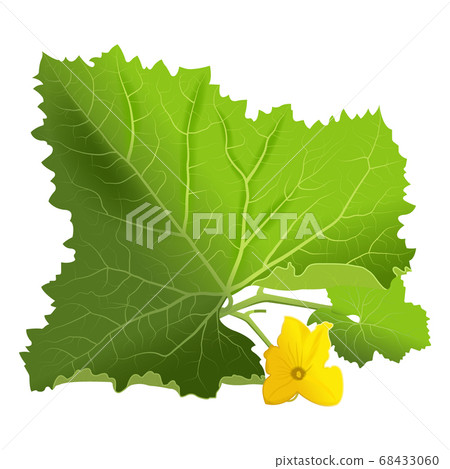 green melon leaf with yellow flower, vector image green melon leaf with yellow flower, vector image 68433060