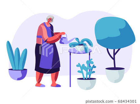 Senior Woman Gardening Hobby. Aged Grey Haired Senior Woman Gardening Hobby. Aged Grey Haired 68434301