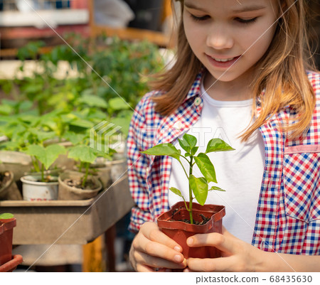 Adorable teen girl kid in hat with seedlings Adorable teen girl kid in hat with seedlings 68435630