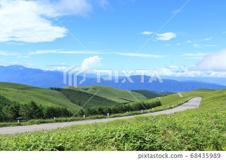 Refreshing summer Venus line 68435989