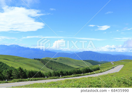 Refreshing summer Venus line 68435990