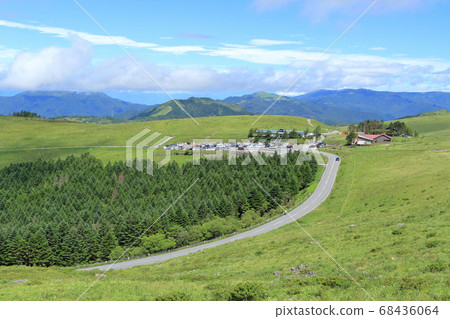 Refreshing summer Venus line 68436064