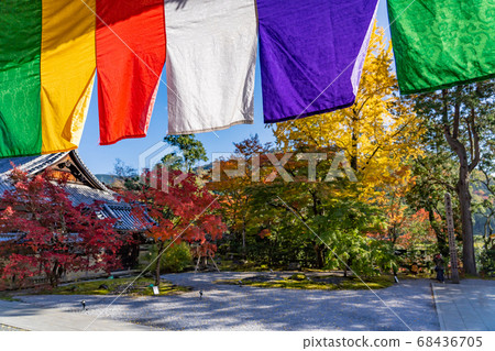 Five-color curtain fluttering in the main hall of Eigenji Temple in Nishiki, Shiga Prefecture 68436705