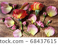 Background of flowers lined up on a wooden board 68437615