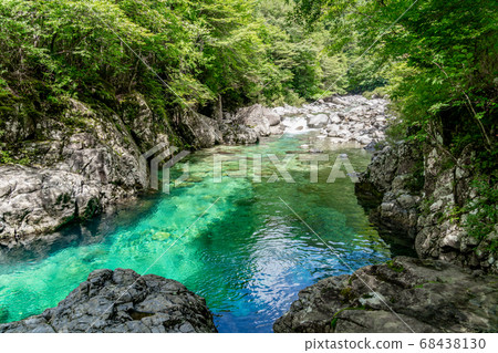 [Nagano Prefecture] Atera Valley (August) 68438130