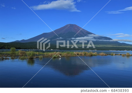 A relaxing walk, along the shore of Lake Yamanaka A relaxing walk, along the shore of Lake Yamanaka 68438393