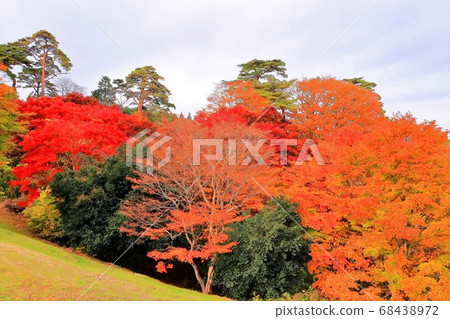 秋天的松幸公園 秋天的松幸公園 68438972