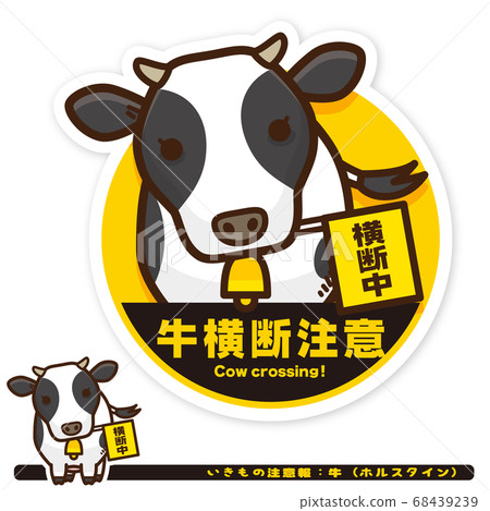 生物警告：母牛（霍爾斯坦）穿越警告標誌 68439239