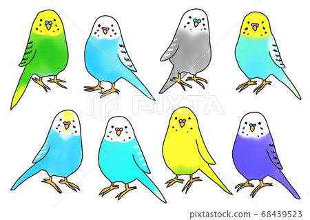 Types of budgerigars 68439523