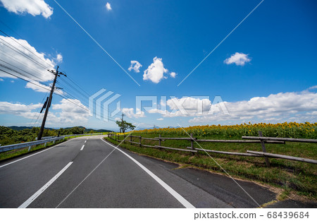 一朵黃色的花向日葵盛開在夏天的藍天 一朵黃色的花向日葵盛開在夏天的藍天 68439684