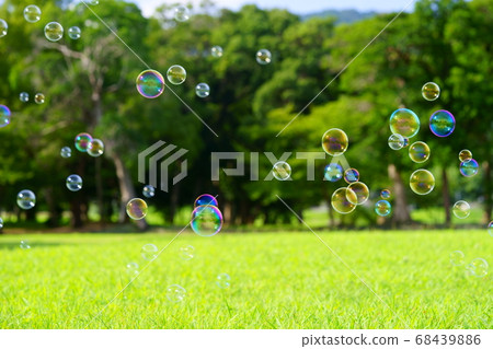 Lawn, forest and soap bubbles 68439886