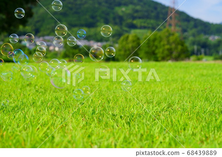 Soap bubbles in my hometown 68439889