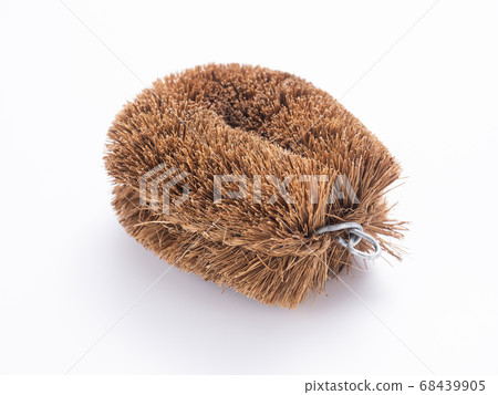 Turtle child scrubbing brush 68439905