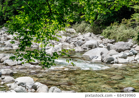 [Nagano Prefecture] Atera Valley (August) 68439960