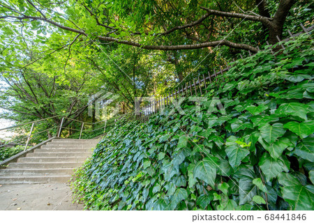 三田山頂公園 68441846