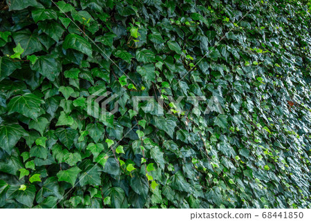 Mita Hilltop Park Mita Hilltop Park 68441850