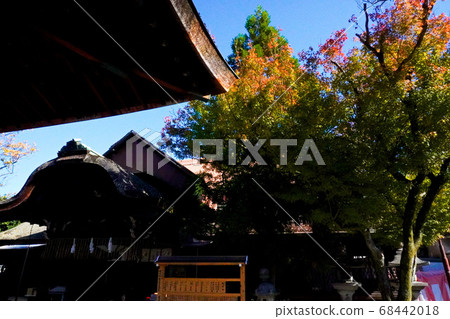 Shimogami Shrine 68442018