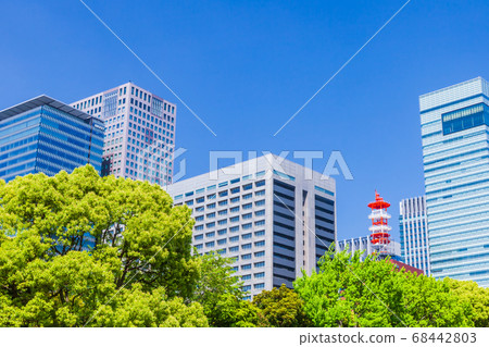新鮮的綠樹和丸之內建築群 新鮮的綠樹和丸之內建築群 68442803
