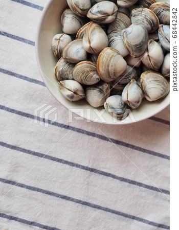 Fresh sea shellfish 68442842