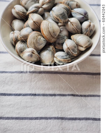 Fresh sea shellfish 68442843
