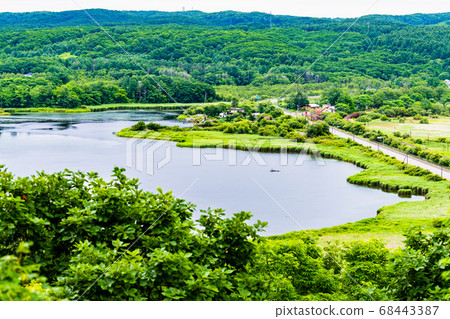 Salvo天文台的北海道夏季Ku路沼澤風景 68443387
