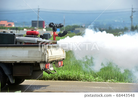 Smoke screen disinfection 68443548