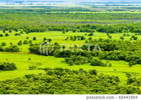 從Ku路市沼澤天文台眺望北海道Ku路沼澤 68443804