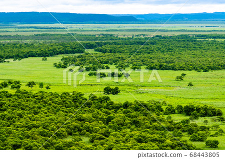 Hokkaido Kushiro Marsh View from Kushiro City Marsh Observatory 68443805
