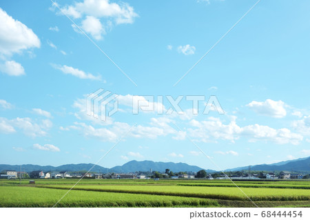 Rural scenery of Mie Prefecture Blue sky Rice cultivation Rural scenery 68444454