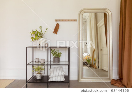 Shelves with potted plants near mirror Shelves with potted plants near mirror 68444596