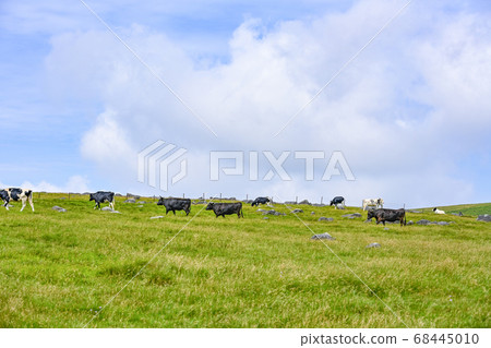 Shinshu Beef from the Utsukushigahara Plateau 68445010