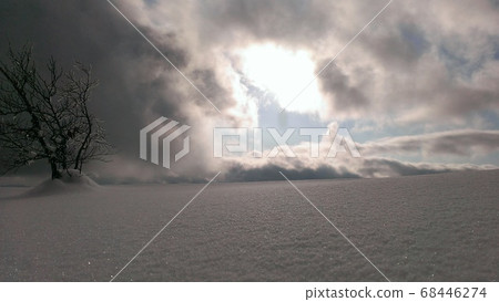 陽光明媚的雪原 68446274