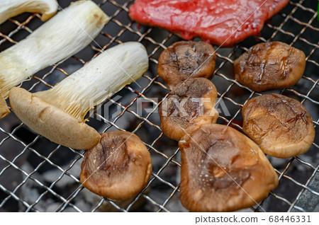 夏季燒烤 夏季燒烤 68446331