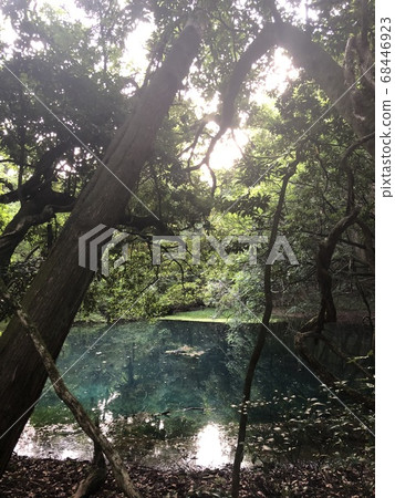 Blue pond in the mountains surrounded by trees Blue pond in the mountains surrounded by trees 68446923