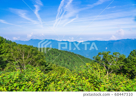 (Nagano Prefecture) Central Alps seen from Shirabiso Plateau (Nagano Prefecture) Central Alps seen from Shirabiso Plateau 68447310