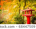 Autumn leaves in Japan 68447509