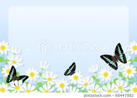 Butterfly and flowers Butterfly and flowers 68447882