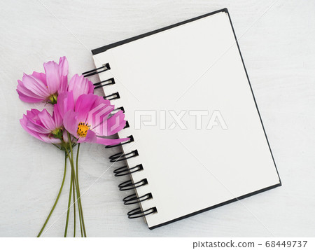 Lovable, pretty puppy of chocolate color. Closeup Lovable, pretty puppy of chocolate color. Closeup 68449737