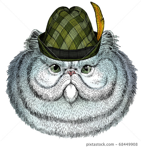 Persian longhair cat. Pet portait. Austrian bavarian tirol hat. Beer festival. Oktoberfest. Persian longhair cat. Pet portait. Austrian bavarian tirol hat. Beer festival. Oktoberfest. 68449908