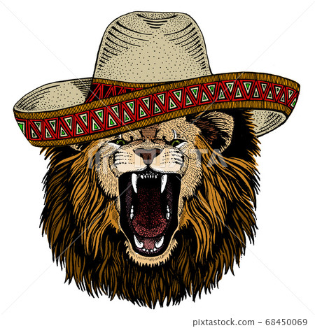 Lion. Sombrero mexican hat. Wild animal portrait. Face of african cat. 68450069
