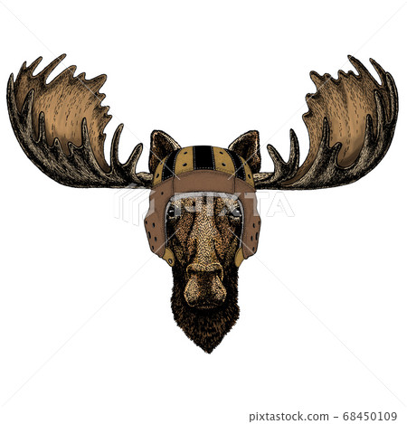 Moose elk head. Rugby leather helmet. Portrait of funny animal. 68450109